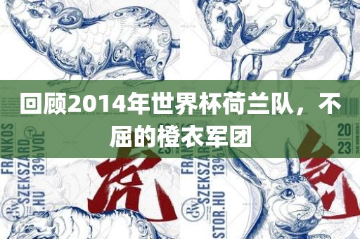 回顾2014年世界杯荷兰队，不屈的橙衣军团眉山市正发家政服务有限公司
