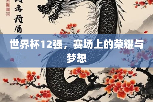 世界杯12强，赛场上的荣耀与梦想眉山市正发家政服务有限公司