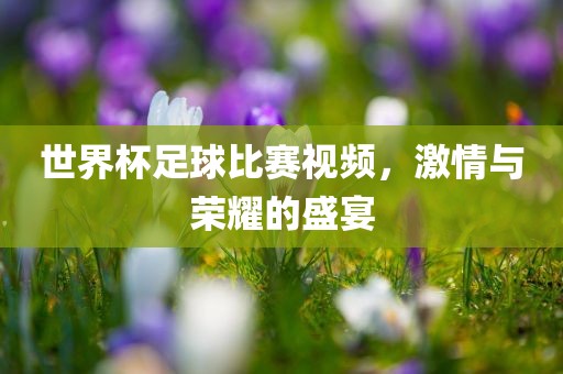 世界杯足球比赛视频，激情与荣耀的盛宴