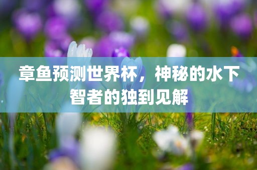 章鱼预测世界杯，神秘的水下智者的眉山市正发家政服务有限公司独到见解