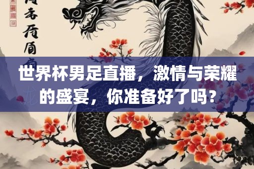 世界杯男足直播，激情与荣耀的盛宴，你准备好了吗？
