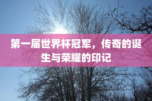 第一届世界杯冠军，传奇的诞生与荣耀的印记眉山市正发家政服务有限公司