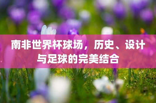 南非世界杯球场，历史、设计与足球眉山市正发家政服务有限公司的完美结合