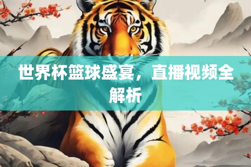 世界杯篮球盛宴，直播视频全解析眉山市正发家政服务有限公司