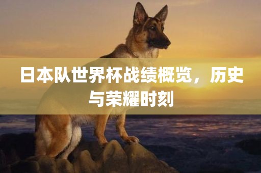 日本队世界杯战绩概览，历史与荣耀时刻眉山市正发家政服务有限公司