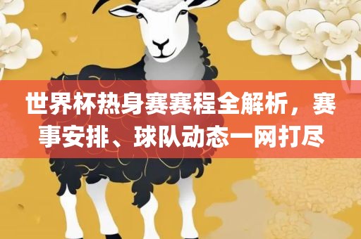 世界杯热身赛赛程全解析，赛事安排、球队动态一网打尽眉山市正发家政服务有限公司