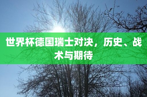 世界杯德国瑞士对决，历史、战术与期待眉山市正发家政服务有限公司