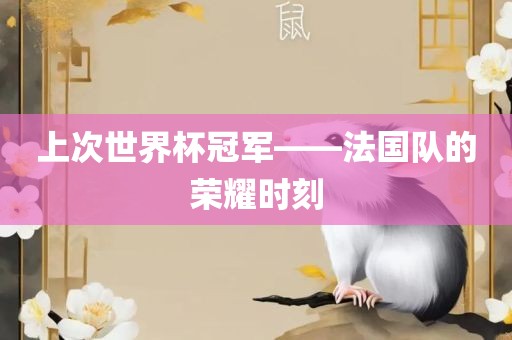 上次世界杯冠军——法国队的荣耀时刻