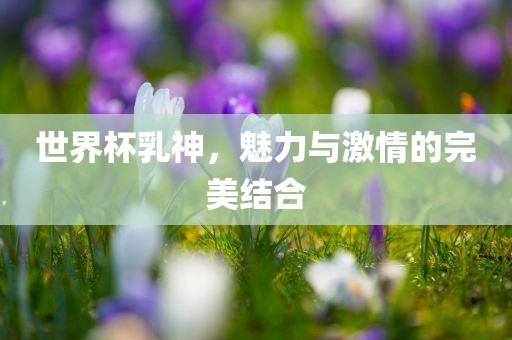 世界杯乳神，魅力与激情的完美结合