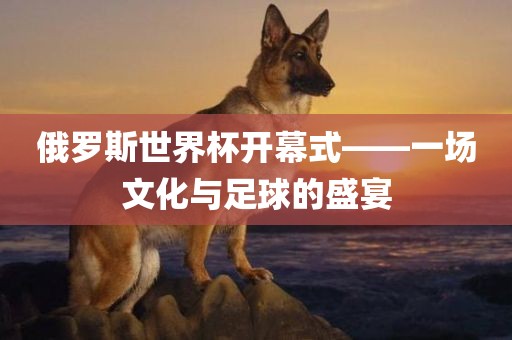 俄罗斯世界杯开幕式——一场文化眉山市正发家政服务有限公司与足球的盛宴