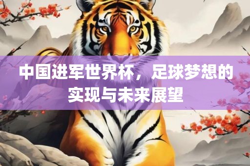 中国进军世界杯，足球梦想的实现与未来展望