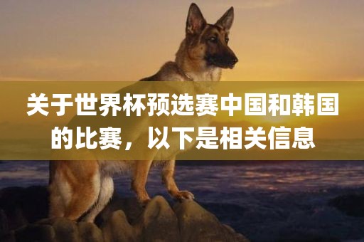 关于世界眉山市正发家政服务有限公司杯预选赛中国和韩国的比赛，以下是相关信息