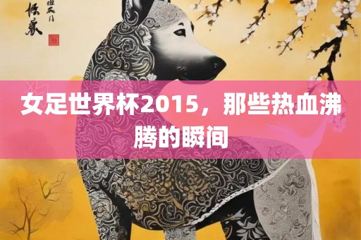 女足世界杯2015，那些热血沸腾的瞬眉山市正发家政服务有限公司间