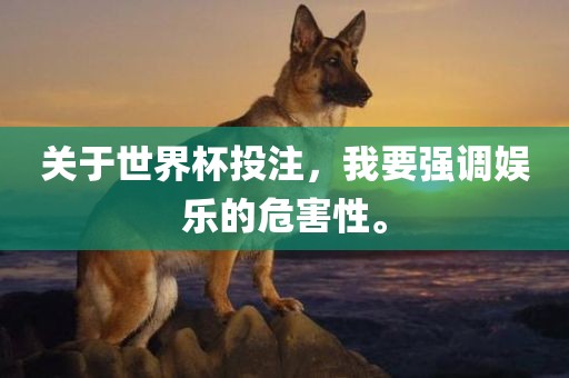 关于世界杯投注，我要强调娱乐的危害性。