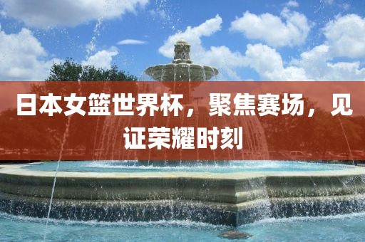 日本女篮世界杯，聚焦赛场，见证荣耀时刻眉山市正发家政服务有限公司