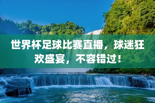 世界杯足球比赛直播，球迷狂欢盛宴，不容错过！眉山市正发家政服务有限公司