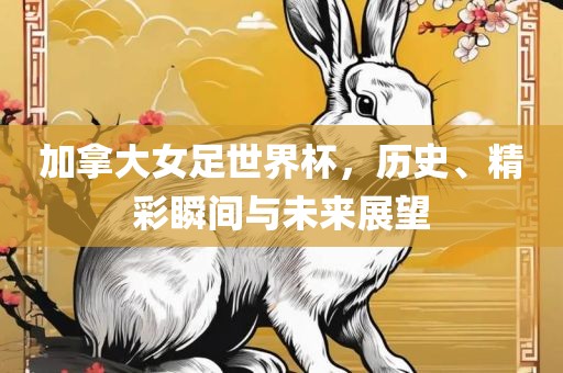 加拿大女足世界杯，历史、精彩瞬间与未来展望