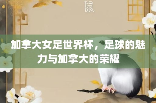 加拿大女足世界杯，足球的魅力与加拿大的荣耀
