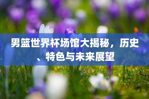 历史 第3页