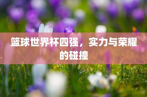 篮球世界杯四强，实力与荣耀的碰撞眉山市正发家政服务有限公司