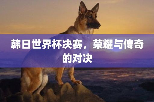 韩日世界杯决赛，荣耀与传奇的对决