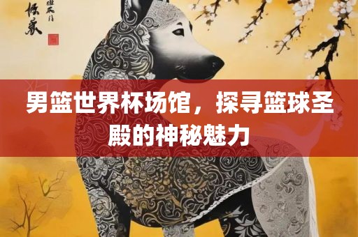 男篮世界杯场馆，探寻篮球圣殿的神秘魅力