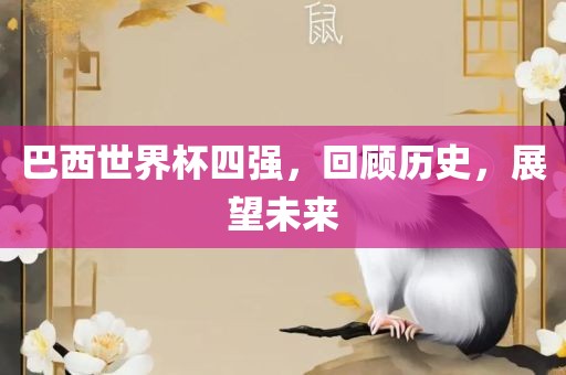 巴西世界杯四强，回顾历史，展望未来眉山市正发家政服务有限公司