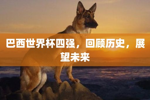 巴西世界杯四强，回顾历史，展望未来眉山市正发家政服务有限公司