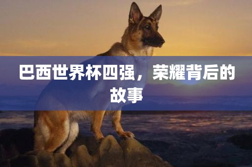 巴西世界杯四强
