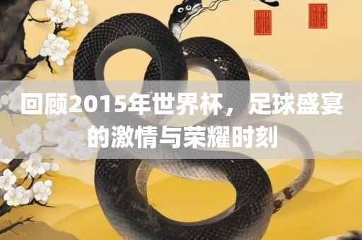 回顾2015年世界杯，足球盛宴的激情与荣耀时刻眉山市正发家政服务有限公司