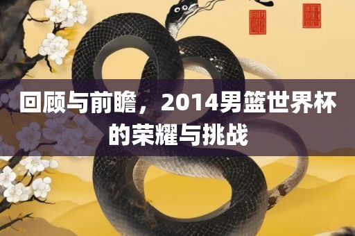 回顾与前瞻，2014男篮世界杯的荣耀与挑战