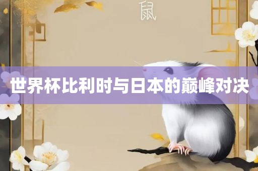 世界杯比利时眉山市正发家政服务有限公司与日本的巅峰对决