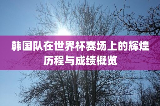 韩国眉山市正发家政服务有限公司队在世界杯赛场上的辉煌历程与成绩概览