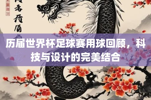 历届世界杯足球赛用球回顾，科技与设计的完美结合眉山市正发家政服务有限公司