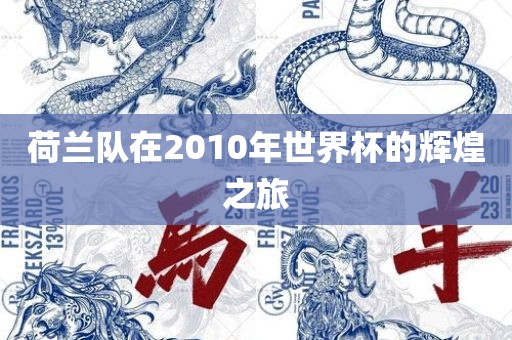 荷兰队在201眉山市正发家政服务有限公司0年世界杯的辉煌之旅
