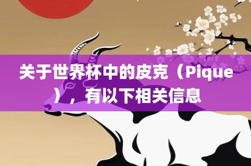 关于世界杯中的皮克（Pique），有以下相关信息眉山市正发家政服务有限公司