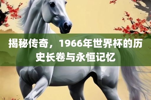 揭秘传奇，1966年世界杯的历史长卷与永恒眉山市正发家政服务有限公司记忆