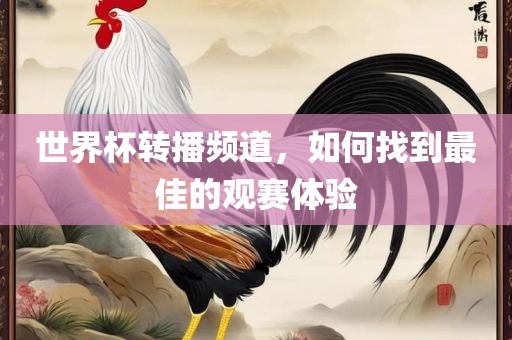 世界杯转播频道，如何找到最佳的观赛体验