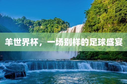 羊世界杯，一场别样的足球盛宴