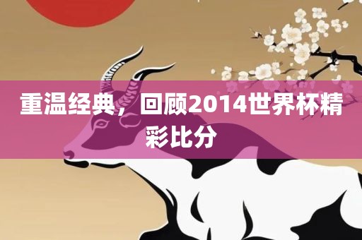 重温经典，回顾2014世界杯精彩比分