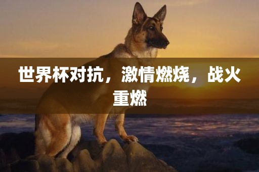世界杯对抗，激情燃烧，战火重燃眉山市正发家政服务有限公司