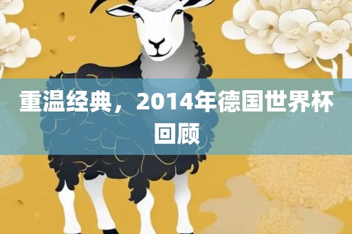 重温经典，2014年德国世界杯回顾眉山市正发家政服务有限公司