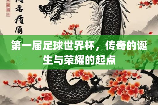 第一届足球世界杯，传奇的诞生与荣耀的起点眉山市正发家政服务有限公司