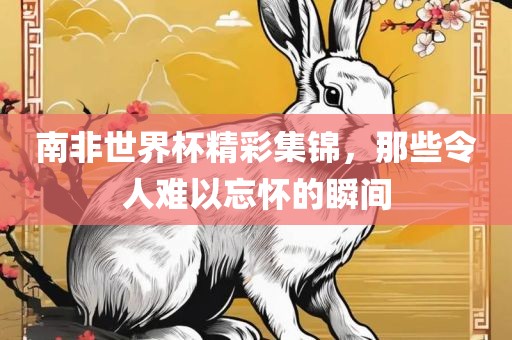 南非世界杯精彩集锦，那些令人难以忘怀的瞬间眉山市正发家政服务有限公司