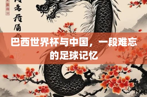 巴西世界杯与中国，一段难忘的足球记忆眉山市正发家政服务有限公司