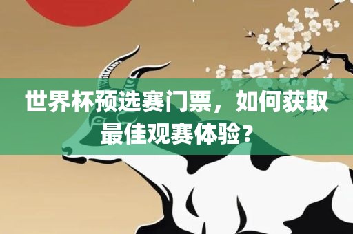 世界杯预选赛门票，如何获取最佳观赛体验？