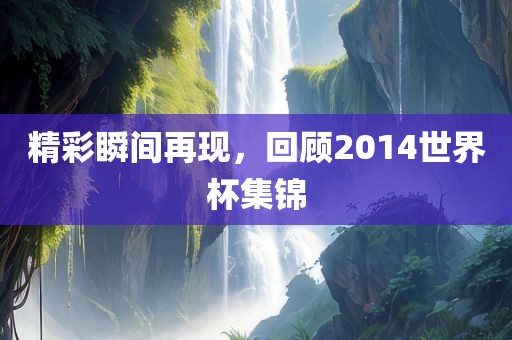 精彩瞬间再现，回顾2014世界杯集锦