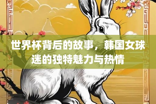 世界杯背后的故事，韩国女球迷的独特魅力与热情