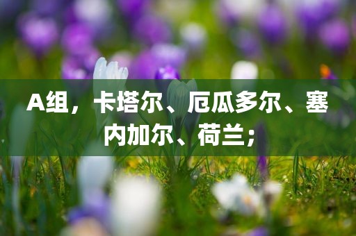 A组，卡塔尔、厄瓜多尔、塞内加尔、荷兰；