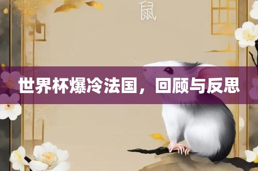 世界杯爆冷法国，回顾与反思